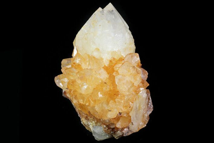 Sunshine Cactus Quartz Crystal - South Africa #80224